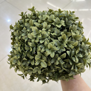 ����5���S���~ ���m�~�廨�����~ֲ���֦��c�廨�bGֲ��ײ�