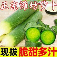 ˮ���}�����r�H���}���H��ˮ�}�����Դ�����ɳ�C�}����ʳ���}��
