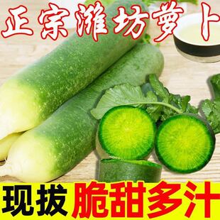 ˮ���}�����r�H���}���H��ˮ�}�����Դ�����ɳ�C�}����ʳ���}��