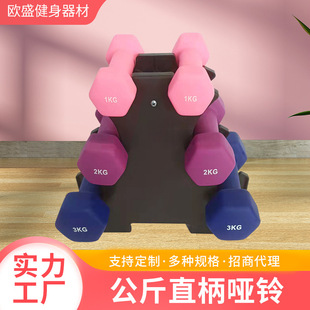 Straight Handle Dumbbell 12kg Set Training Dumbbells Home Fitness Solid Cast Iron Plastic-Coated Small Dumbbell Set for Women