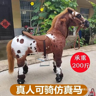 ���^�����R�T���R�Tľ�R��ͯ���R݆���T�д�̖�����R���T�T�R��ɫ