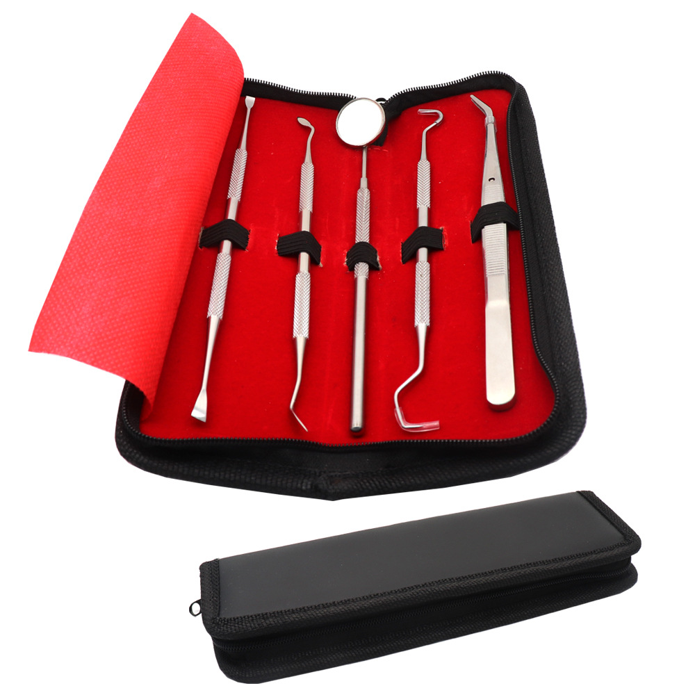 Spot stainless steel dental tool probe Oral care set endoscopic…