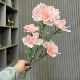 新款银莲花婚庆礼堂装饰山茶花路引家居装饰气球派对KT板悬吊花艺