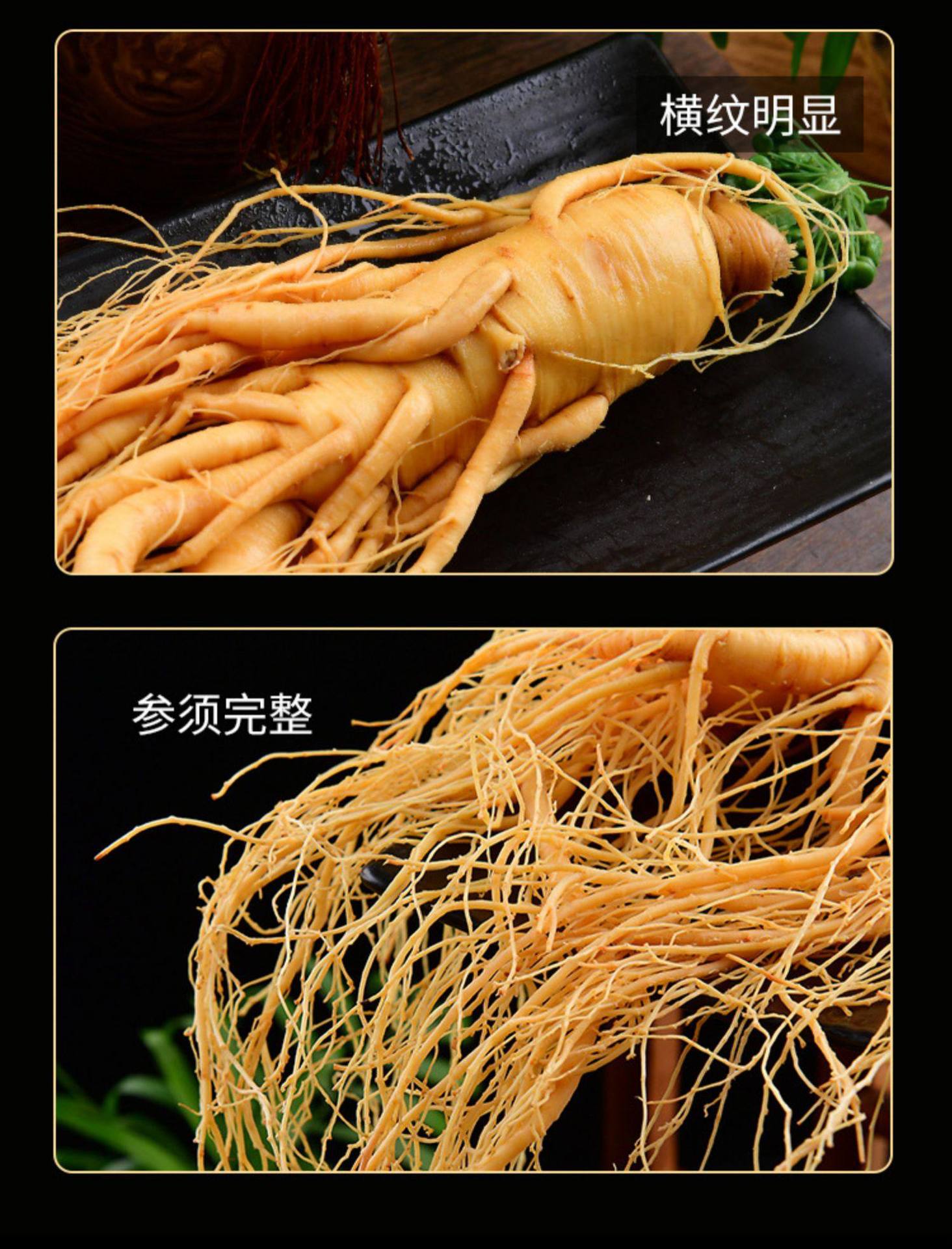 Fresh White Ginseng Root Extra Large Changbai Mountain Ren Shen Soup Tea Wine Ingredient quality and texture