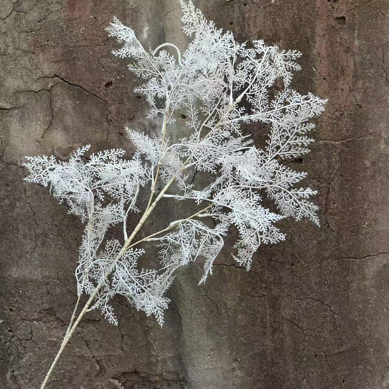 微信图片_20250402154916