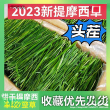 һlĦݰlֱӸɲݱZiĦֱ