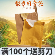 ����ļ��� �S�����״� �O���״��������������������ӌ����״�