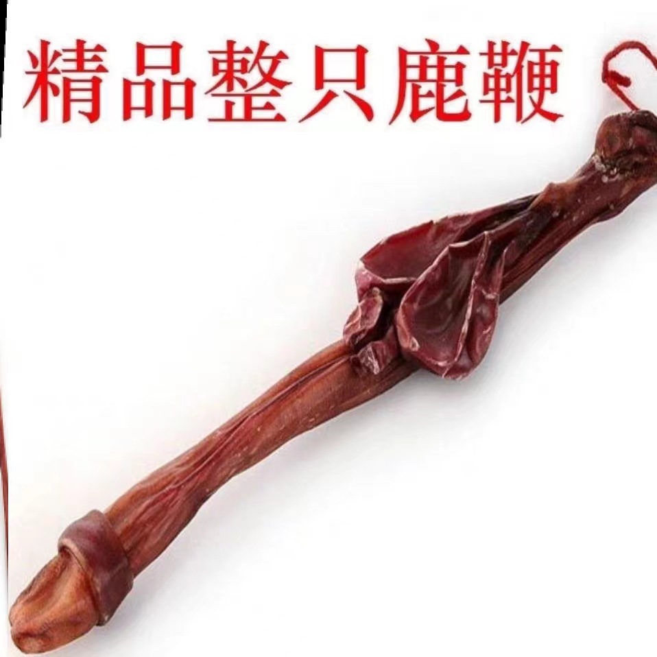 Whole Deer Penis Lu Bian Dried Traditional TCM Ingredient for Culinary and Wine Infusion Use 120g Whole Stick in use