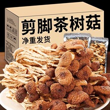 2023云南农家茶树菇干货甄选不开伞切根新鲜茶薪菇香菇蘑菇250g