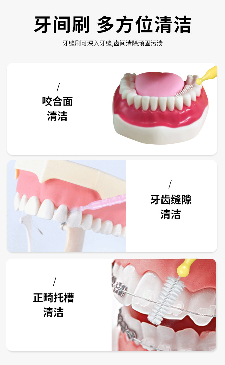 鱼骨牙间刷 (4).jpg