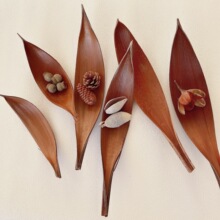 �M�ڿɿ��~�ɻ���Ȼֲ��Ӱ巿�Ƶ��b��бP����[����ˇ�Ĕz����