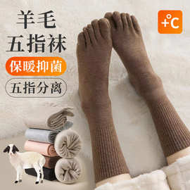 女士秋冬羊毛保暖五指袜吸汗无骨分趾袜抗菌消臭防摩擦加厚长袜