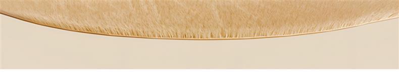 German Carpet 2024 New Bedroom Cream Style Bubble Velvet Thickeneded Pure Color Bedside Blanket Living Room Large Area Floor Mat