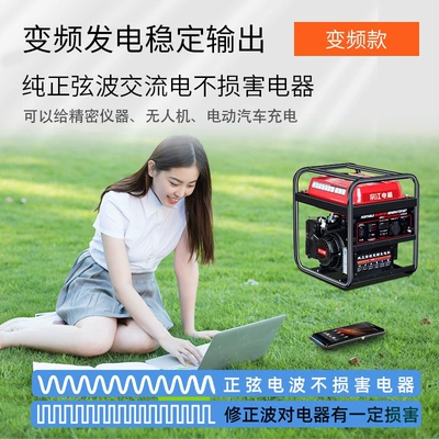 mini, portable, quiet, handheld, Avtomobil generatorları
