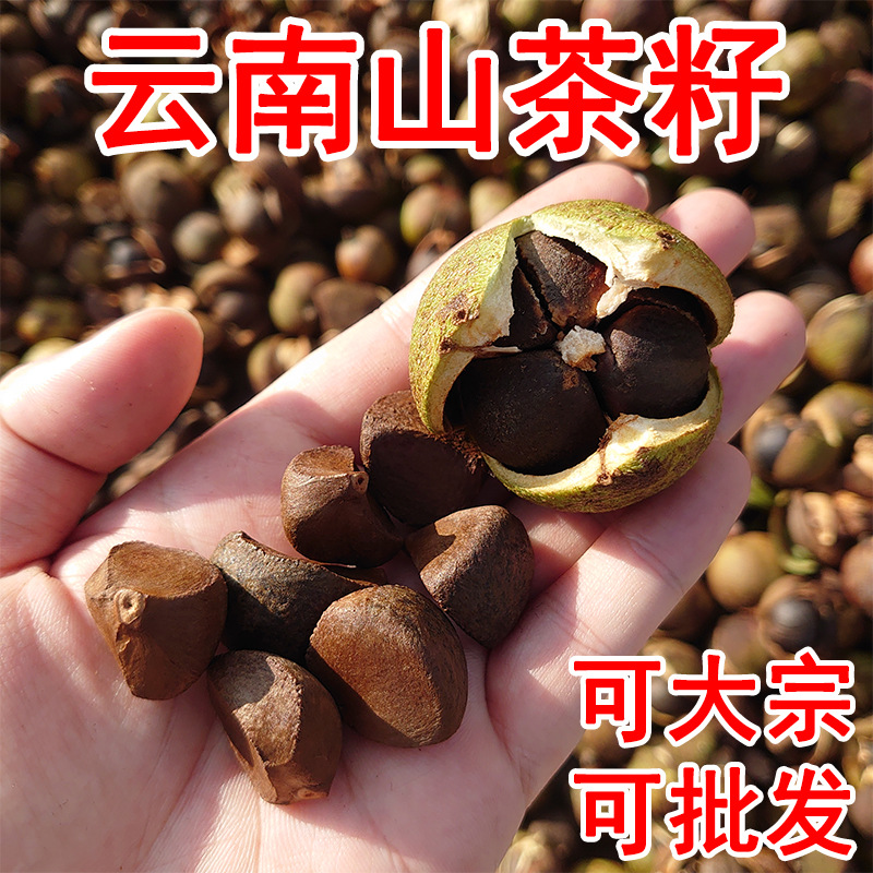 云南红花山茶籽榨油带壳原料自家用商用洗头高油率产地直销批发