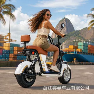 Braziliya bazarı üçün Harley-tipli Citycoco elektrikli velosiped, geniş təkərli