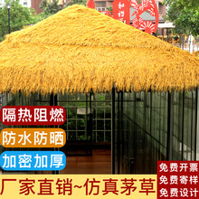 é����픸�������é�������̺ʽ�ٲݾ��^�r�Ҙ�ľ�|��ͤ����