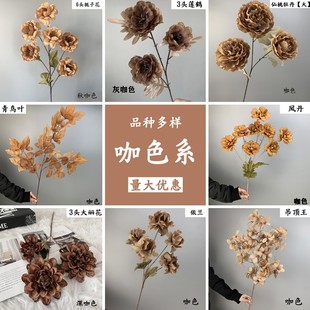 ��c���滨��ɫϵ ��c·���廨�bҾӔ[�� �������Q���l