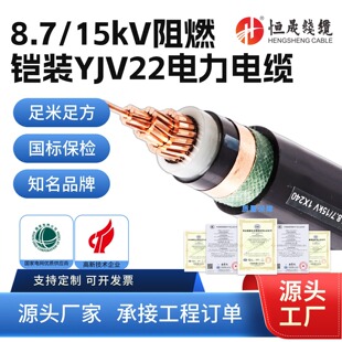 ����ZC-YJV22�z�b�߉�15KV��ȼ�����|��1/3о35/70/95/120ƽ��