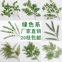 �Gɫ���滨ɭϵ����Gֲ�~�ӻ�c�������~��ˇ�b��߼ٻ��٘��~
