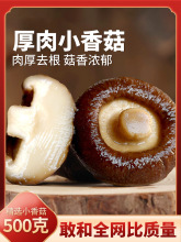 خa|㹽؛ooѬĢ؛ɽ