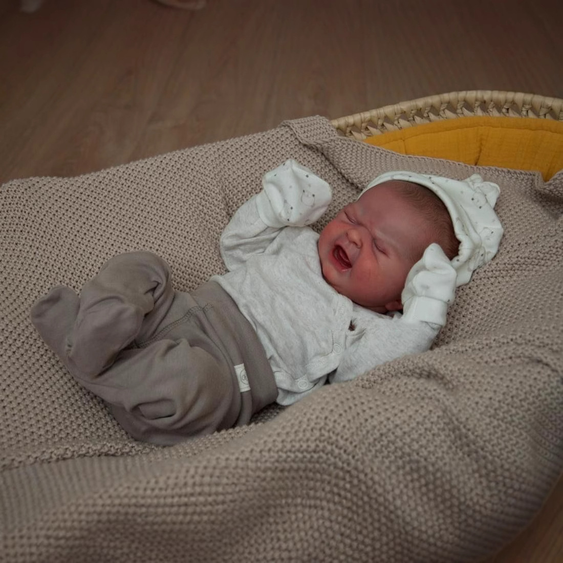 Muñeca Bebé Reborn Realista NPK First Cry de 49 cm, Fuente de Suministro para Comercio Electrónico Transfronterizo, Dropshipping
