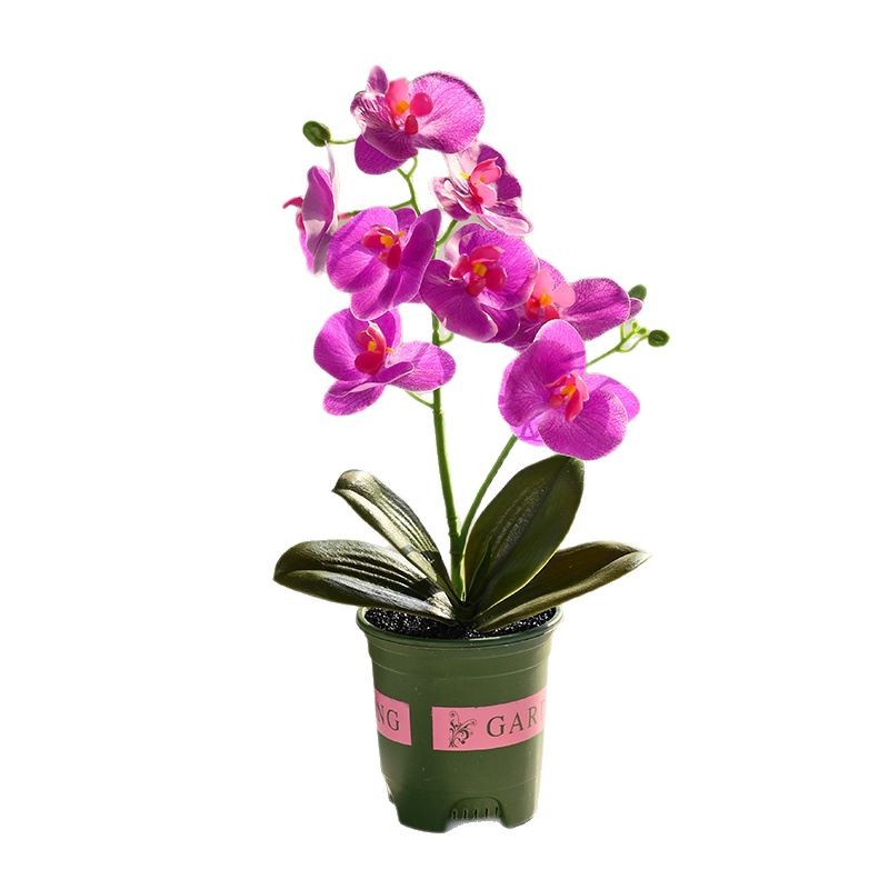 8 flores Phalaenopsis en maceta flor artificial moda creativa flor falsa decoración decoración planta verde artificial simulación maceta al por mayor