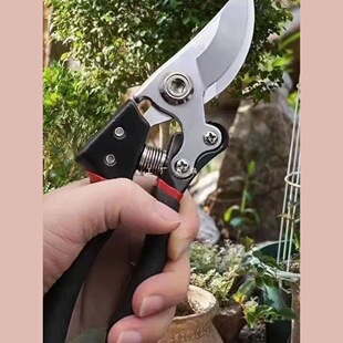 高品质钢剪树剪子果树剪修枝剪粗枝剪园艺剪刀家用苗圃修剪工具-阿里巴巴