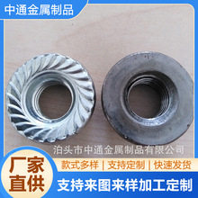 �ӹ���煾o�̼� �ǘ�������ĸ ������ĸë�� ��܇����ĸ��Ͳ�iĸ