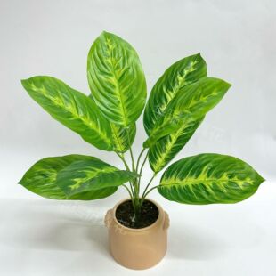 羳Gֲ9^˽ֲ ҃ȿ͏dGֲb[ ˽