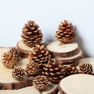 ���ɹ������ӻ� ���ջ�Y�Ɍ��}�Q�b������� �����ֹ�DIY