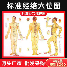 批发艾灸穴位图 高清人体穴位图刮痧艾灸按摩常用彩色双面穴位图
