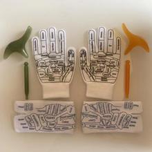 Ӣ��Ѩλ�������QѨλ�D���cѨ��Ħ���׿羳����ֲ����j��������