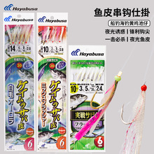 ձHayabusaŲ_ SS075~Ƥh˒촬ឺSu6h