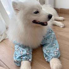 �����o���·��Ľ�ë�_ĦҮ������K�����oϥ������o�����ļ�ͨ��