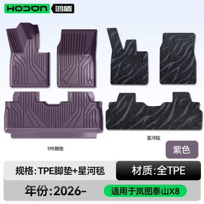 Mats Tpe26 New Model Car | Modelə uyğun ayaqaltı - lantu-taishan-x8-26-models-double-layered-floor-mats-purple-tpe-black-galaxy-blanket-starlight-embellishment