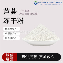 芦荟冻干粉多规格芦荟凝胶冻干粉库拉索芦荟提取物现货包邮