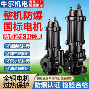 ����HWQB���ڷ�����ˮ��EXDIIBT4/CT4�����ͼ�ˮ�������g����ˮ��