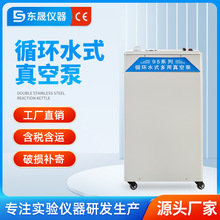 东晟 真空泵实验室立式电动抽负压SHZ-9工业用小型循环水式真空泵