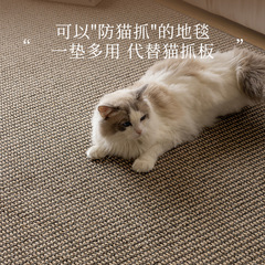 日式茶室地毯客廳2024新款攝影棚沙發臥室床邊貓抓板地墊仿劍麻