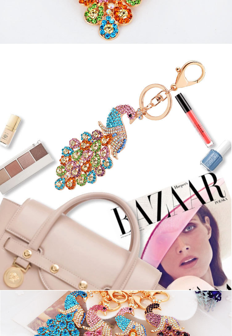 2401522054_949518863