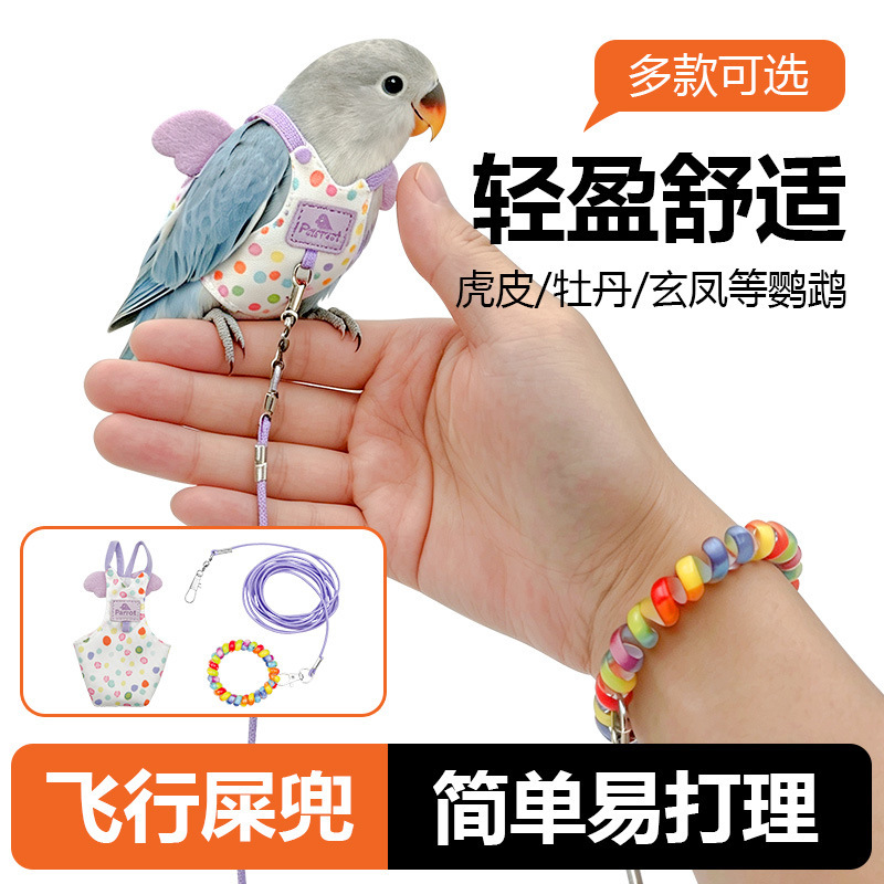 Parrot harness with leash, budgerigar, lovebird, black cockatiel, monk parrot, sun conure diaper, outdoor leash Parrot harness with leash, budgerigar, lovebird, black cockatiel, monk parrot, sun conure diaper, outdoor leash