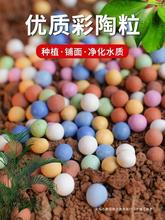 实心彩色陶粒颗粒花用垫底铺面石养花水培盆栽多肉营养土专用石子