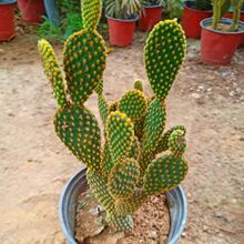 ǧ���^������������ǧ����ֲ���҃��̨�Gֲ���ܶ���ֲ���������l