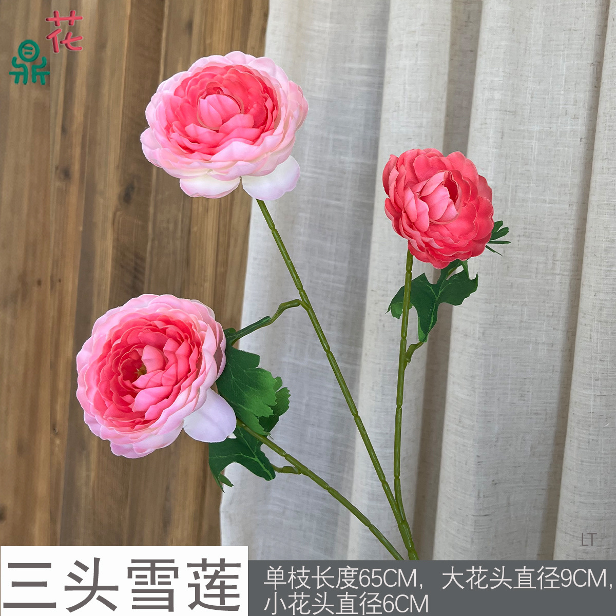 세 머리 눈 연꽃 LT 화이트 엣지 로즈 레드