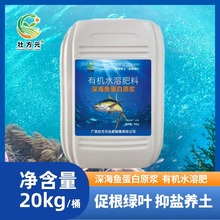 ЙCˮܷ ~ Ϲ߲˷Nֲ 