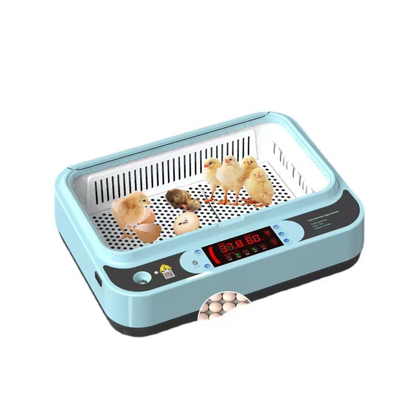 Incubadora de pollo de venta directa Incubadora doméstica pequeña Incubadora doméstica inteligente automática Caja de incubación de pollo
