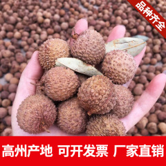広東省乾燥ライチ大果実高州桂味小核2025自然天日乾燥新入荷薄皮肉厚ライチドライフルーツ