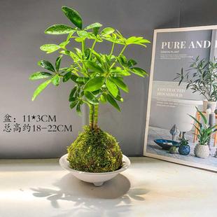 ̦\_ľˮ҃ȃ՚B׻ļk[СGֲ