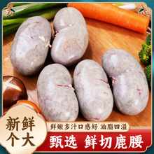 ��¹���x÷��¹���� �p�¹�l���a�B������l؛�I�B �����������l